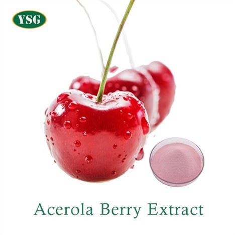 Acerola ogu ekstrakta pulveris